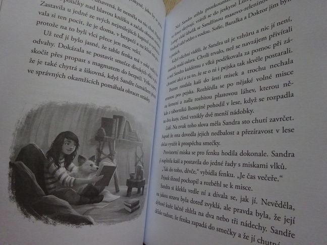 OCHRÁNCI DIVOČINY, STRÁŽCI TAJGY, **an
