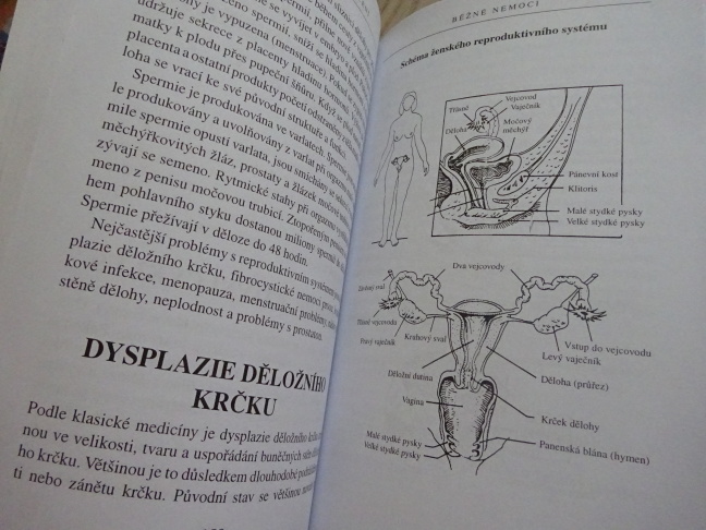REIKI, PRAKTICKÉ LÉČENÍ, MARI HALL, **an