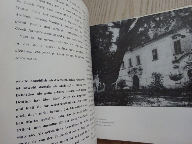 EMA DESTINNOVÁ, VÁCLAV HOLZKNECHT, BOHUMIL TRITA, **an