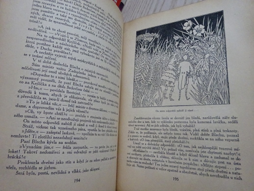 BRATŘI MRAVENCI, JOS. HAIS TÝNECKÝ, O. ŠTÁFL, 1920, **an
