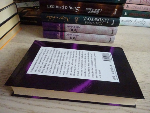 NEJVĚTŠÍ RYTÍŘ, ELIZABETH CHADWICKOVÁ, **an