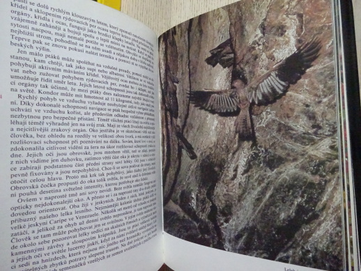 PLANETA ŽIJE, DAVID ATTENBOROUGH, **an