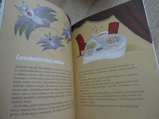 ZMIZELÁ ŠKOLA, DANIELA KROLUPPEROVÁ, **an