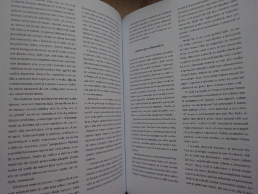 GENTLE MANUAL, DANIEL ŠMÍD, **an