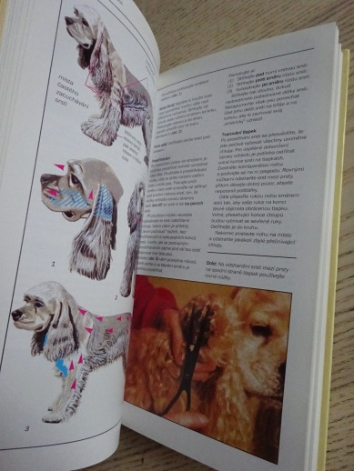 AMERIČTÍ A ANGLIČTÍ KOKRŠPANĚLÉ, FRANK KANE, PHYLLIS WISEOVÁ, **an