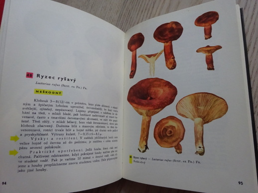 KAPESNÍ ATLAS HUB, PILÁT, UŠÁK,  HOUBY, **an