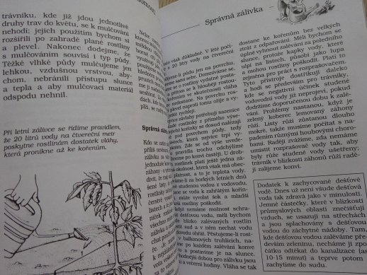 ZAČÍNÁME NA ZAHRÁDCE, HELMUT JANTRA, **an