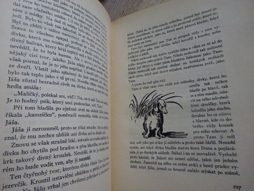 KAMZÍČEK, V. ŠTÁFLOVÁ, **an