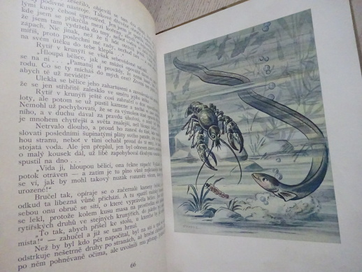 O MYŠCE HRABALCE A JINÝCH ZVÍŘÁTKÁCH, JAN VRBA, 1929, **an