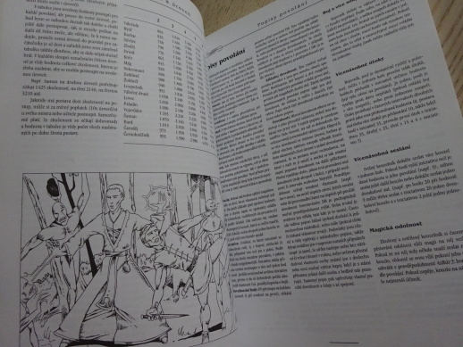 STÍN MEČE, FANTASY HRA NA HRDINY, ZÁKLADNÍ VERZE, **an