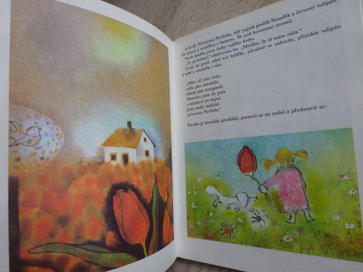 PRINCEZNA Z TŘEŠŇOVÉHO KRÁLOVSTVÍ, MARKÉTA ZINNEROVÁ, OTA JANEČEK, **an