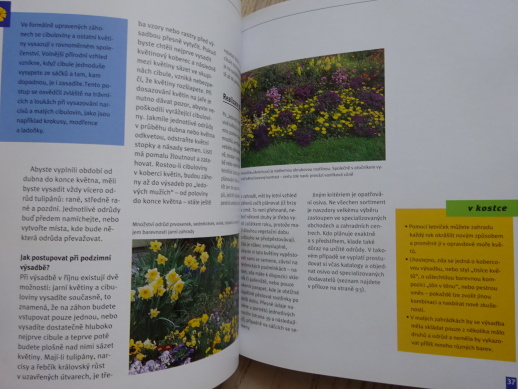 LETNIČKY, NEJKRÁSNĚJŠÍ JEDNOLETKY A DVOULETKY, HERTA SIMON, **an