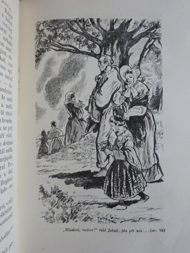 PAN UČITEL, BOŽENA NĚMCOVÁ, **an