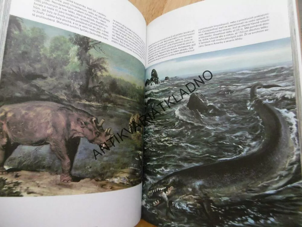 KNIHA O PRAVĚKU, ŠPINAR, ZDENĚK BURIAN, **an