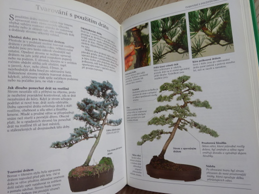 BONSAI, PRAKTICKÁ ILUSTROVANÁ PŘÍRUČKA, **an