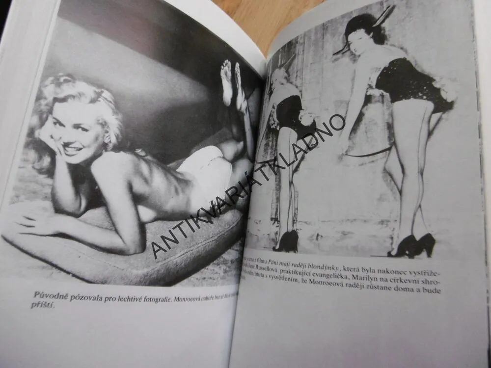 SKANDÁL JMÉNEM MARILYN, SANDRA SHEVEY, **an