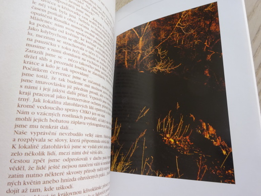 KŘIVOKLÁTSKÝMI PĚŠINKAMI, MARTA DUDKOVÁ, **an