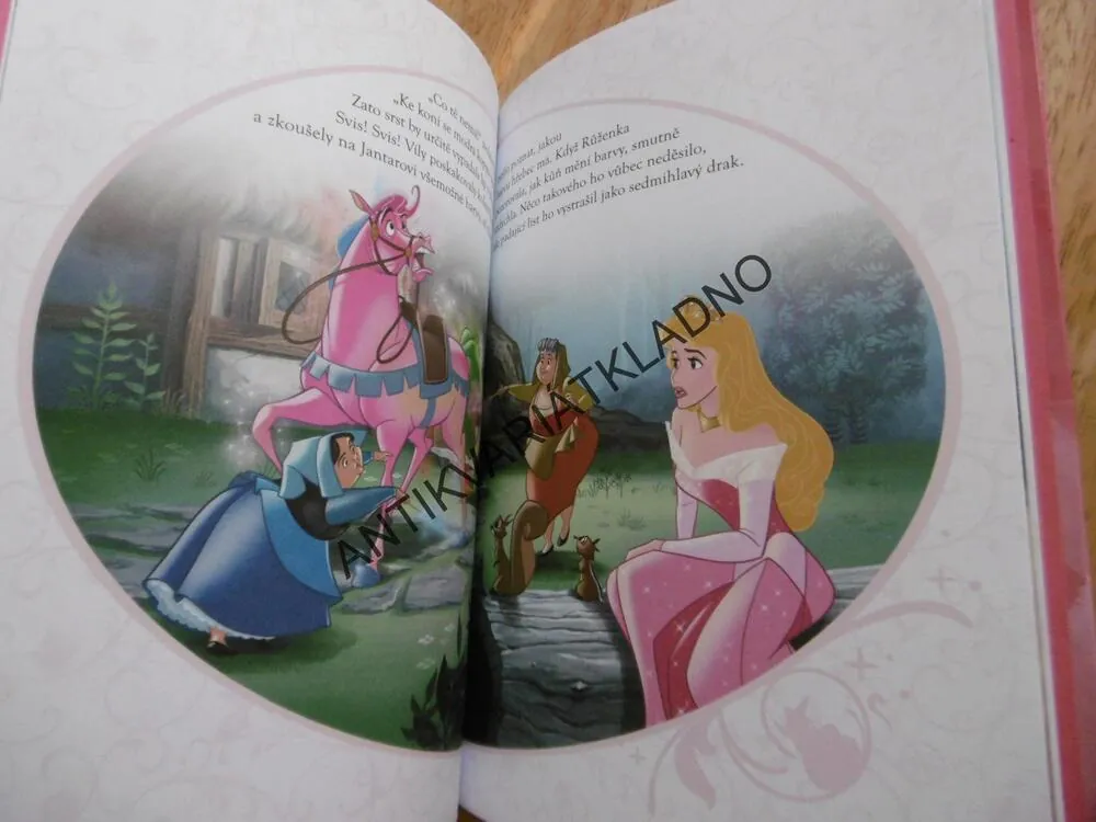 ŠÍPKOVÁ PRINCEZNA, DISNEY PRINCEZNA