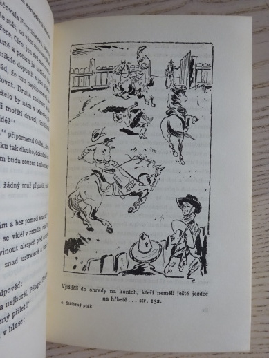 STŘÍBRNÝ PTÁK, ROSŮLEK, BURIAN, 1940, **an