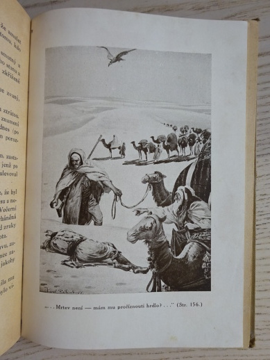 TAJEMSTVÍ VELKÉ OASY, P. C. WREN, 1927, **an
