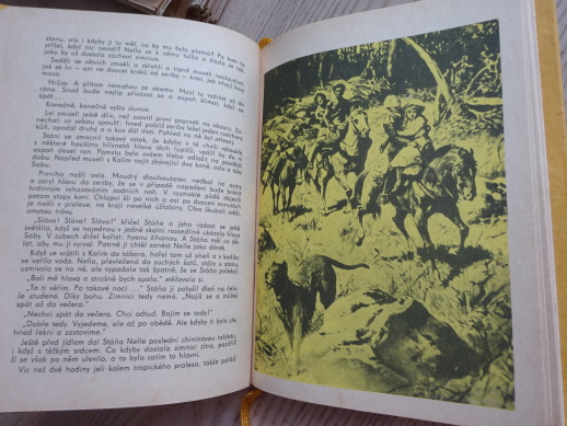 V PUSTINÁCH, HENRYK SIENKIEWICZ, **an