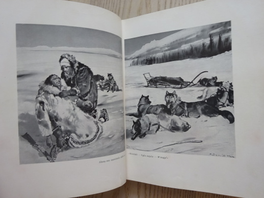 ZLATÉ ÚDOLÍ, JAMES OLIVER CURWOOD, **an