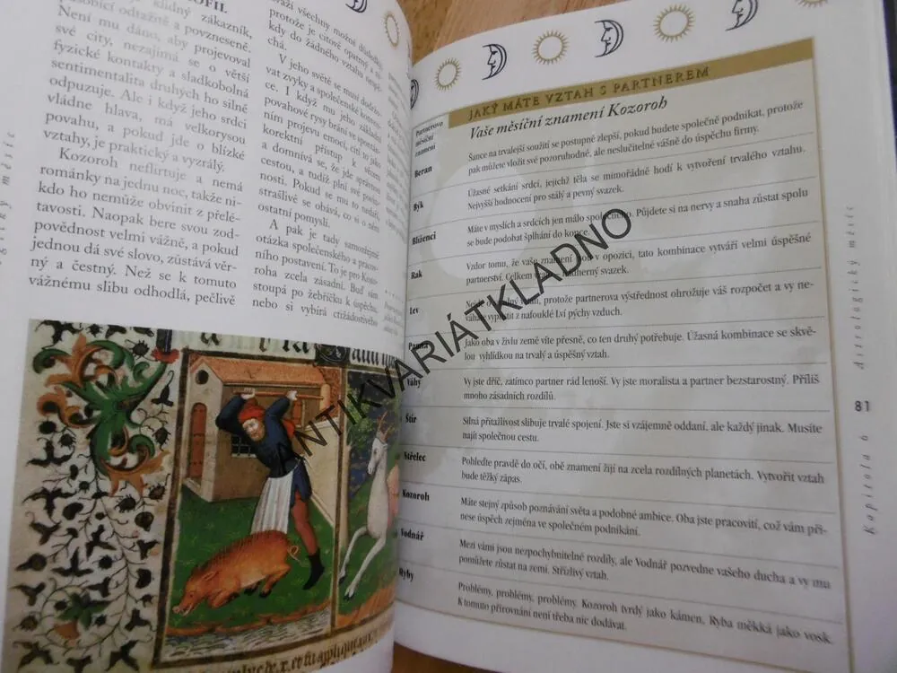 MAGICKÝ MĚSÍC, LORI REID, **an