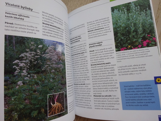 BYLINKY DOMA A NA ZAHRADĚ, MARIE-LUISE KREUTER, **an
