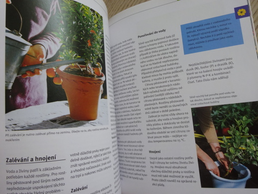 CITRUSY, MONIKA A THORSTEN KLOCKOVI, **an