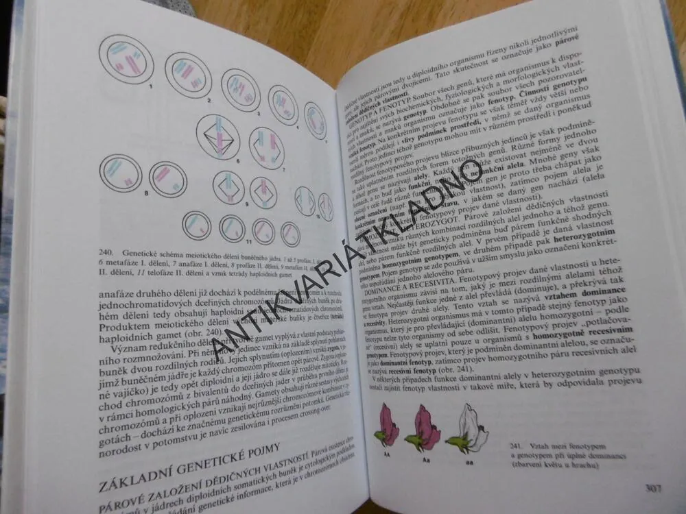 PŘEHLED BIOLOGIE, ROZSYPAL