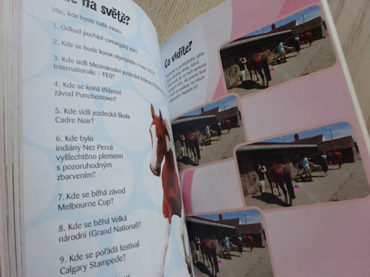 VYZNÁŠ SE VE SVĚTĚ KONÍ?, SANDY RANSFORD, **an
