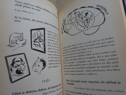 PROČ KRAJÍC SPADNE VŽDY NAMAZANOU STRANOU DOLŮ, RICHARD ROBINSON, **an