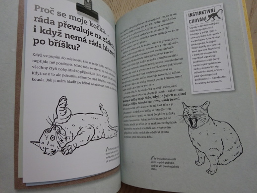 PROČ TO TA KOČKA DĚLÁ?, VYČERPÁVAJÍCÍ ODPOVĚDI NA 50 OTÁZEK, KTERÉ SI KLADE KAŽDÝ MAJITEL KOČKY, **an