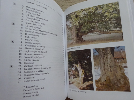 PAMÁTNÉ STROMY 1, HRUŠKOVÁ, TUREK, **an