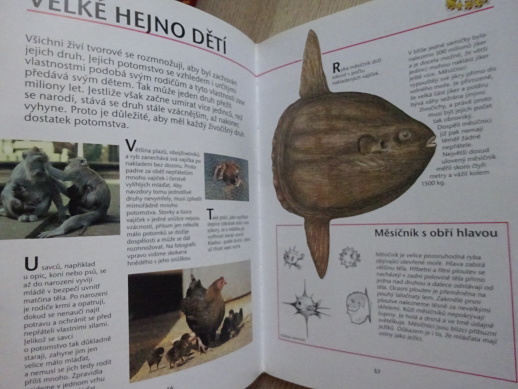 REKORDY Z ŘÍŠE ZVÍŘAT, GABRIELLE COLDITZOVÁ, **an