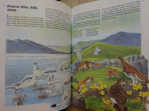 SEVERSKÁ ZVÍŘATA, HENSEL, THIEMEYER, **an