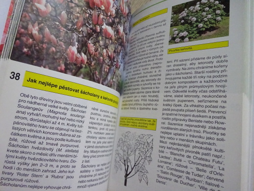 OKRASNÉ DŘEVINY, RADOSLAV ŠROT, **an