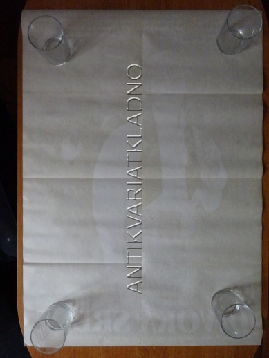 DIVOKÁ SRDCE, LUKÁŠ VACULÍK, JIŘÍ BARTOŠKA, PLAKÁT 23T