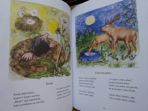 ČTVERO ROČNÍCH OBDOBÍ, EVA BERANOVÁ, JANA RYCHETSKÁ, PAVEL DOLEJŠÍ, RENATA JANČOVÁ, **an