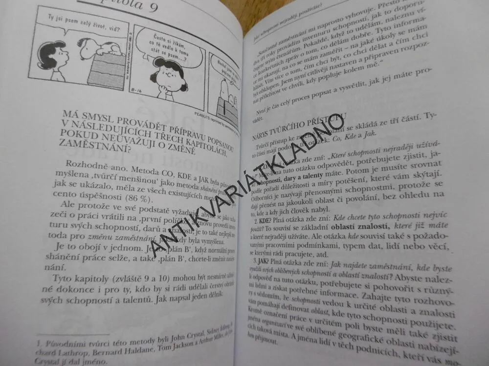 JAKÉ BARVY JE TVŮJ PADÁK, R.N. BOLLES