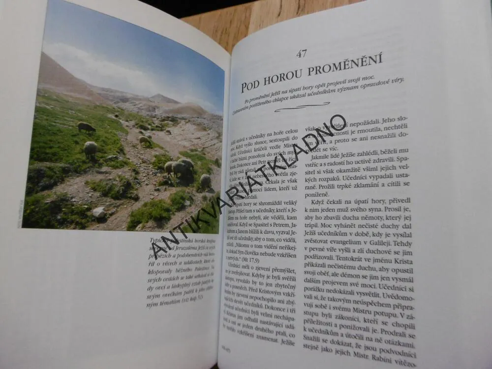 TOUHA VĚKŮ, ELLEN GOULD WHITEOVÁ, **an