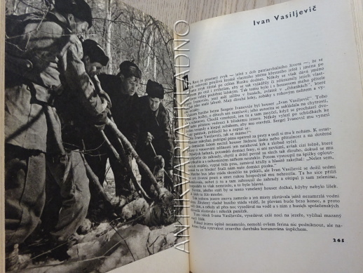 REVÍR BEZ HRANIC, RUDOLF LUSKAČ, **an