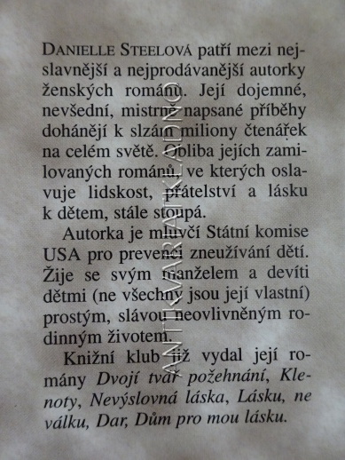 PALOMINO, DANIELLE STEEL, **an