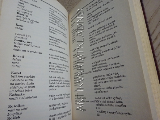 SNÁŘ, **an