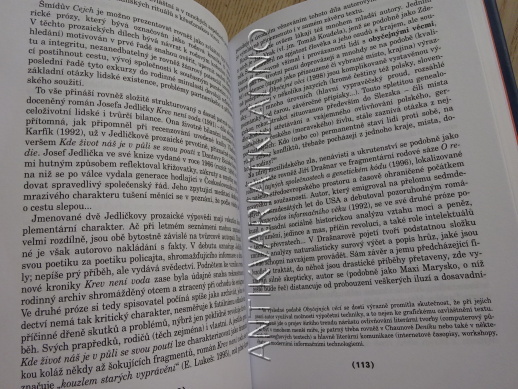 LITERÁRNÍ BLUDIŠTĚ, BILANCE POLISTOPADOVÉ PRÓZY, LUBOMÍR MACHALA, **an