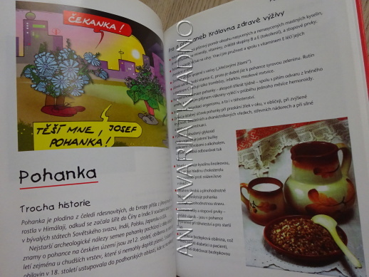 POD POKLIČKOU, JANA STRÝČKOVÁ, KAMILA TESLÍKOVÁ, **an