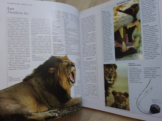 SAVANY, LAROUSSE, **an