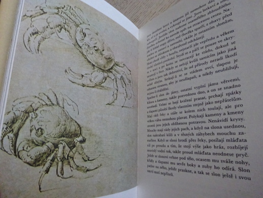 LEONARDO DA VINCI, NÁPADY, **an