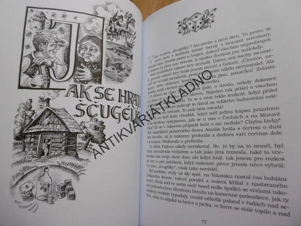 ZBOJNÍK A HALINA, JINDŘICH FRANTIŠEK BOBÁK, **an
