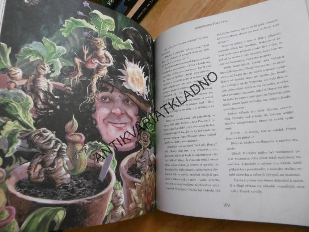 HARRY POTTER A TAJEMNÁ KOMNATA, J.K. ROWLINGOVÁ, JIM KAY